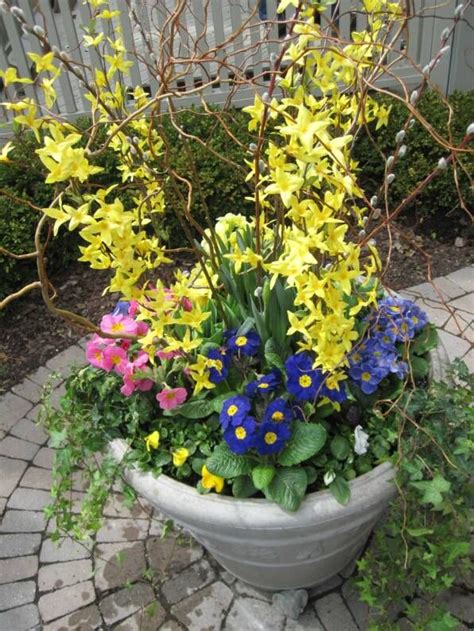 17 Best Images About Spring Containers On Pinterest