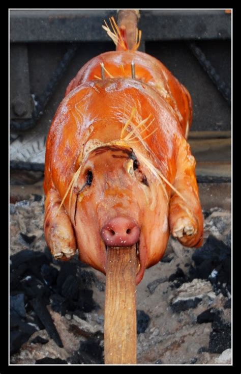 Pig Roast At German Fest Bill Falk Flickr
