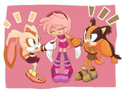 She Is My Best Friend Sonic The Hedgehog Sonic Boom Amy Sonic