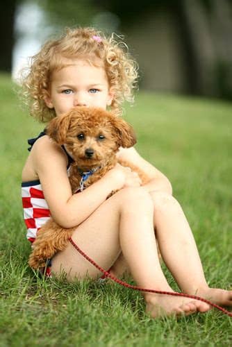 Long haired dogs come in a beautiful range of breeds and sizes for every home. 21 Easy Hairstyles for Girls with Curly Hair - Little ...
