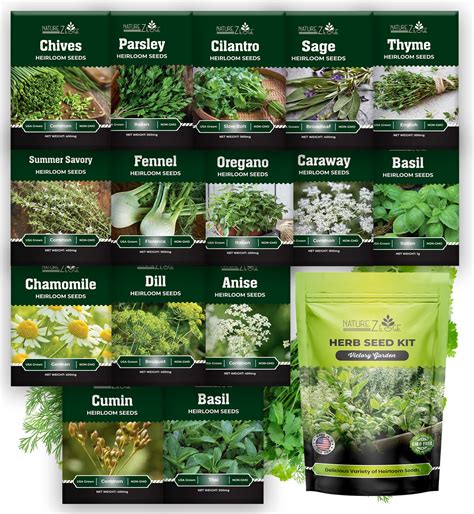 Herb Seeds For Planting Variety Pack 15 Varieties Of Heirloom Etsy