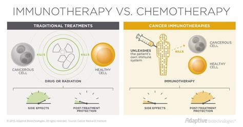 Immunotherapy Boosting The Bodys Natural Defenses To Fight Cancer