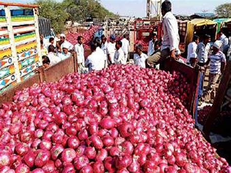Onion Export Ban And Farmers Maharashtra Times Blog