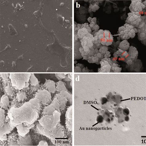 SEM Micrograph Of A PEDOT PSS B AuNPs C PDZAu Nanocomposite D