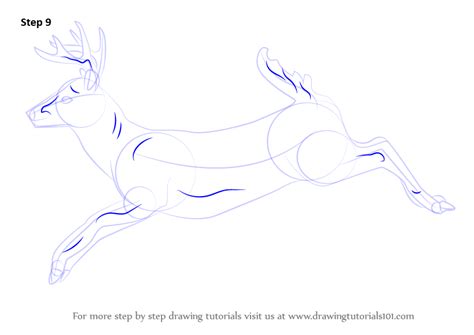 We have now placed twitpic in an archived state. Learn How to Draw a White-tailed Deer (Wild Animals) Step ...