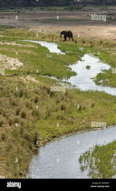 African Landscape Kruger National Park Stock Photo Alamy