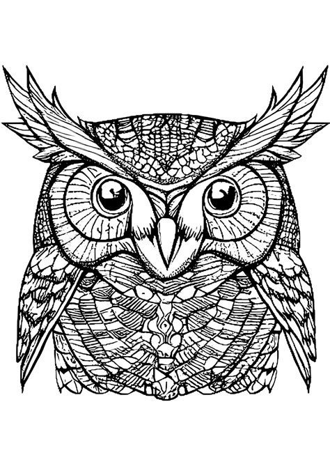 Owl Coloring Page For Kids · Creative Fabrica