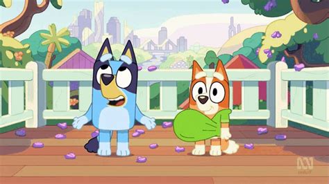 bluey the show bluey the show pop discover and share s