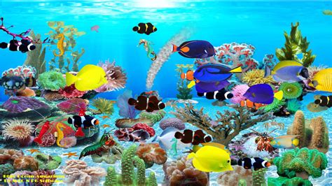 Download Blue Ocean Aquarium Wallpaper 207
