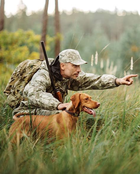 List 92 Background Images Pictures Of Hunting Dogs Latest