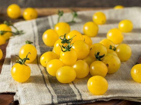 Yellow Tomato Growing Guide Kinds Of Tomatoes That Are Yellow