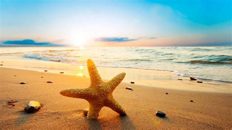 Sky Starfish Summer Summertime Seashore Wave Sunrise Dawn Sea