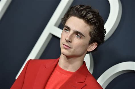 Why Timothee Chalamets Beautiful Boy Gets 25 Stars