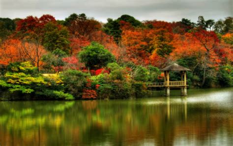 Gazebo Autumn Scenery Fall Scenery Pictures Forest Landscape