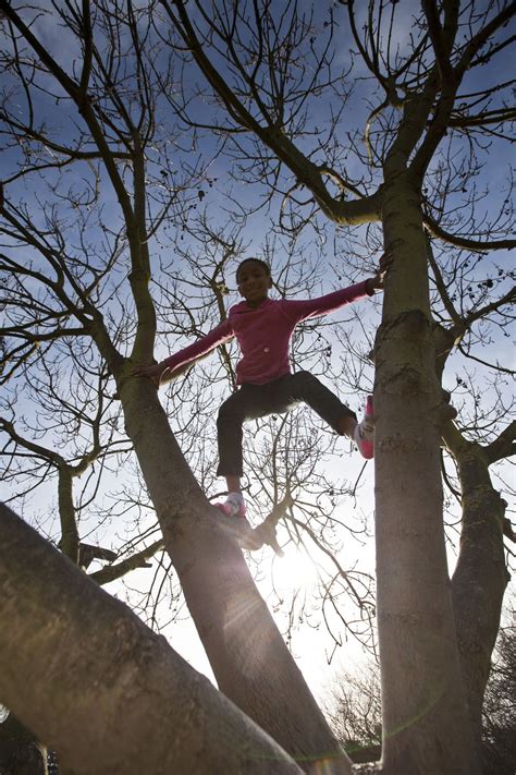 Children Climbing Trees
