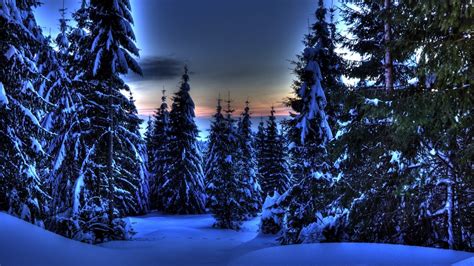 Winter Hd Wallpaper Background Image 1920x1080