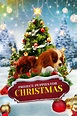 Project: Puppies for Christmas (2019) - Posters — The Movie Database (TMDB)