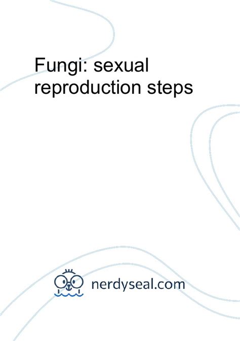 Fungi Sexual Reproduction Steps 1454 Words Nerdyseal