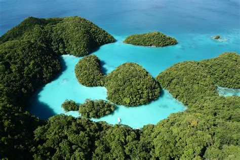 Las 1000 Islas De Roca De Palau En Micronesia 101 Lugares Increíbles