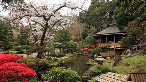 Community news , featured top story tagged with: A Brief History of San Francisco's Japanese Tea Garden