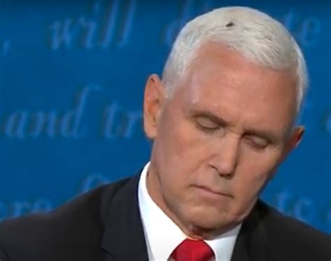 There was one standout moment, though, and that was the fly on mike pence's head. Mike Pence Had a Fly on His Head During the VP Debate and the Internet Erupted