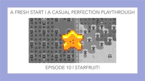 A Minmax Stardew Valley Perfection Playthrough Episode 10 Starfruit