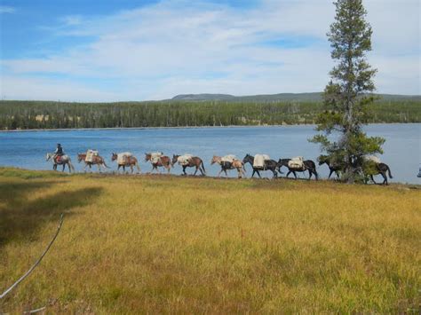 Horse Pack Rides In Yellowstone And Montana Rockin Hk Outfitters