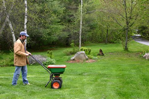 How To Fertilize Your Lawn American Profile