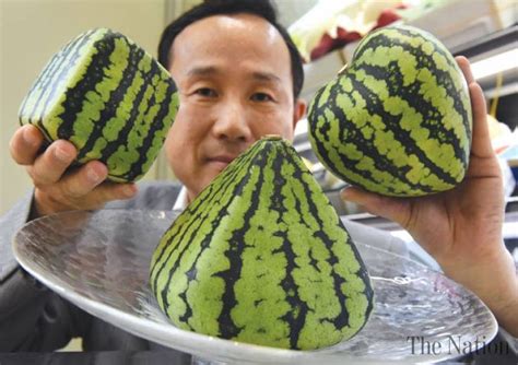 Different Shaped Watermelons In Japan Watermelon Fruit Shop Fruit