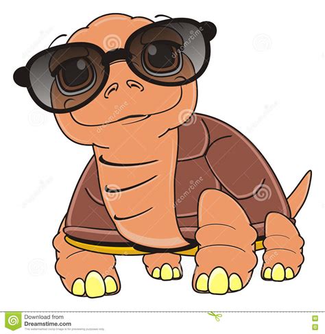 Turtle In Sunglasses Stock Illustration Illustration Of Swim 80997155