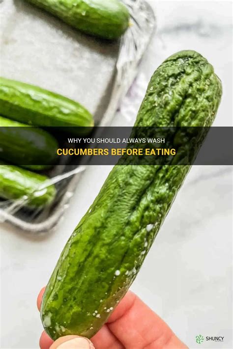 why you should always wash cucumbers before eating shuncy
