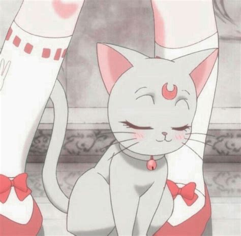 Aesthetic Sailor Moon Cat Anime Cat Sailor Moon