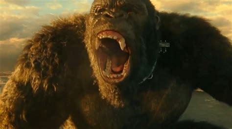 Legends collide as godzilla and kong, the two most powerful forces of nature, clash on the big screen in a spectacular battle for the ages. Godzilla vs. Kong revela nuevas imágenes junto a sus juguetes