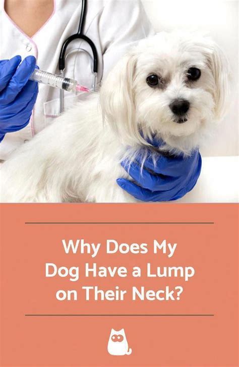 Do You Could Have A Lump On Your Neck Back Or Behind Your Ear This