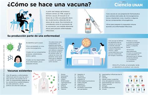 INFOGRAFÍA Cómo se hace una vacuna Ciencia UNAM