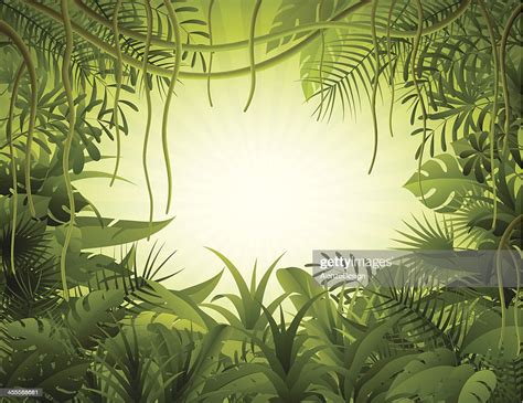 Rain Forest High Res Vector Graphic Getty Images