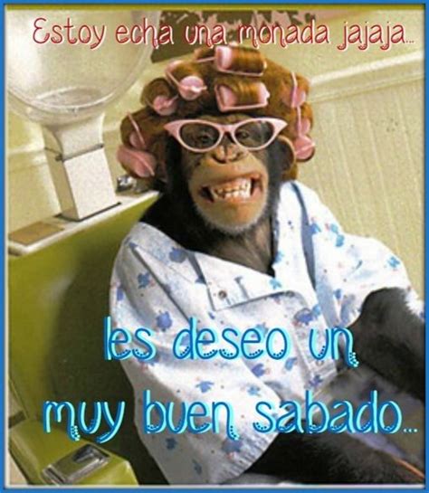 Download 28+ 25+ Chistoso Buenos Dias Sabado Gracioso ... Descargar imagenes de fotos feliz sabado gif animadas para whatsapp gratis y facebook.