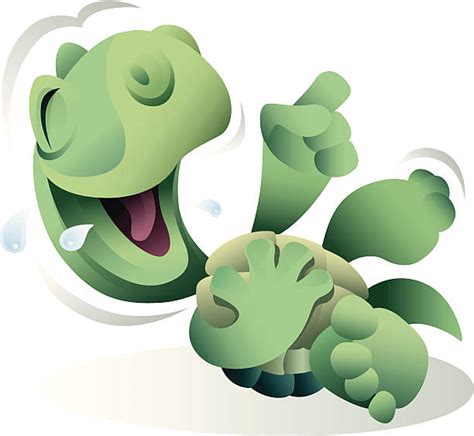 Laughing Turtle Animal Humor Illustrations Royalty Free Vector