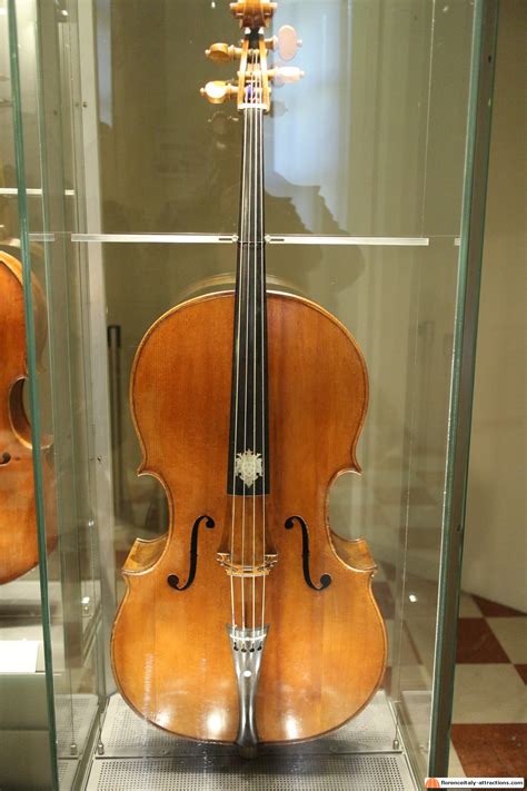 Medici Viola - An extraordinary instrument - Your Contact in Florence