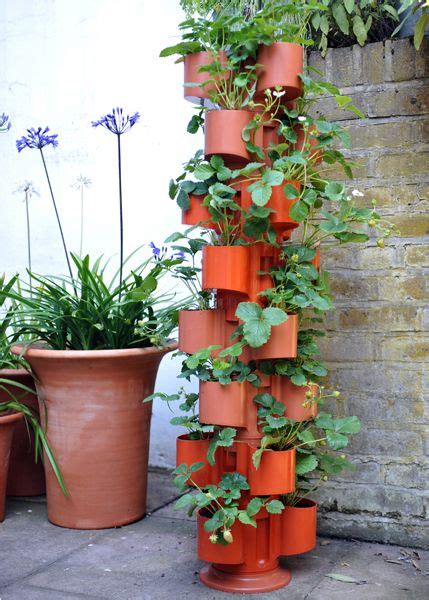 Buy Self Watering Tower Pots Delivery By Waitrose Garden In