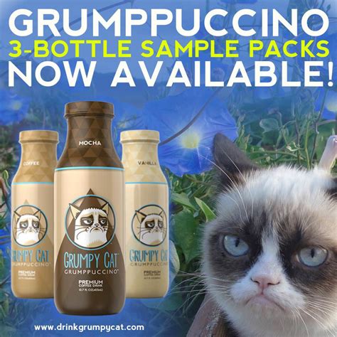 Try All Three Flavors Of Grumpy Cat Grumppuccino With A Sample Pack