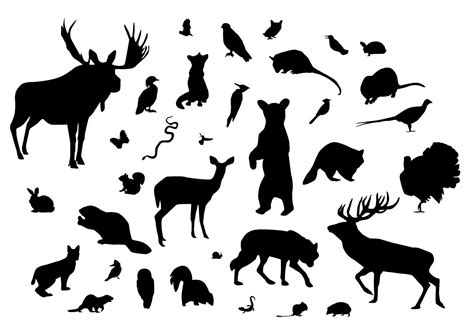 Forest Animal Silhouettes 93534 Vector Art At Vecteezy