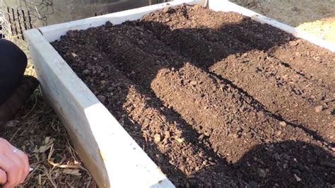 Epic gardening has a simple mission: Planting Carrots in a Raised Bed - YouTube