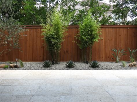 The average price for bamboo plant support ranges from $10 to $150. Contemporary Landscaping in Houston TX. Black bamboo, Blue Glow Agave, European Olive Trees ...