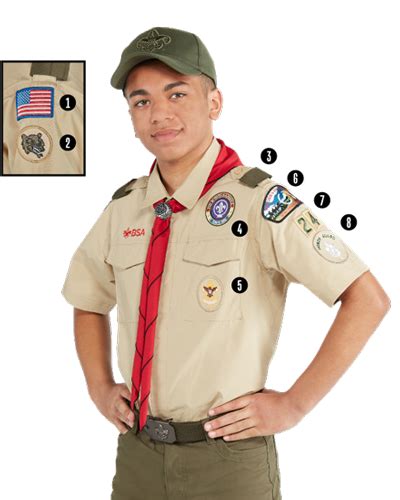 Scouts Bsa Collection