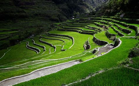 Ancient 2000 Year Old Rice Terraces In The Philippines It Covers An