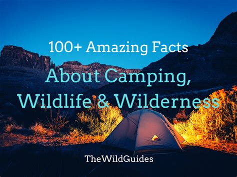 100 Amazing Facts About Camping Wildlife And Wilderness