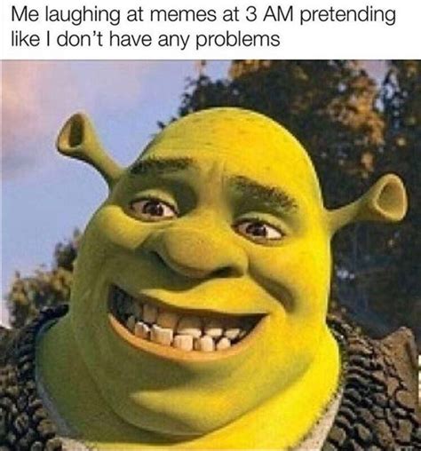 Shrek It Meme