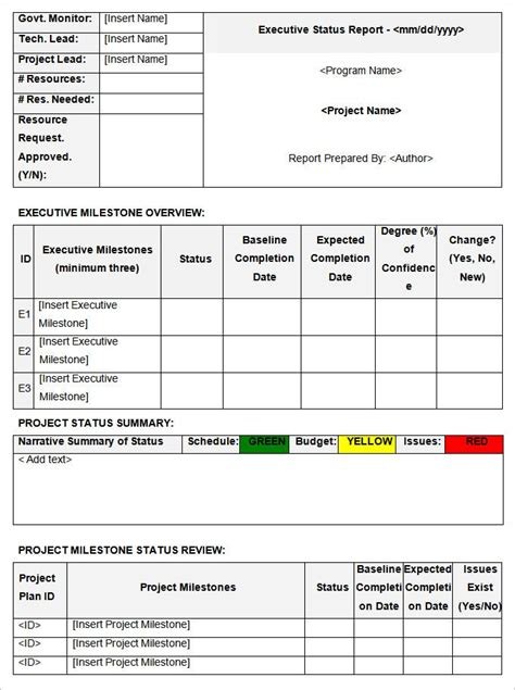 Executive Project Status Report Template Ppt Contoh Gambar Template Images