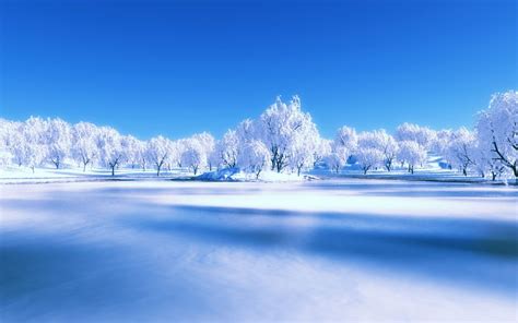 Rogerswinterwhites Beautiful Winter Pictures Winter Scenery